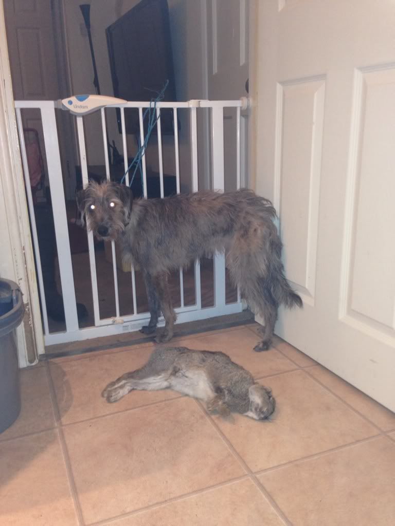 EF0F2D39-7B31-453A-8788-3E52ED42F845-133