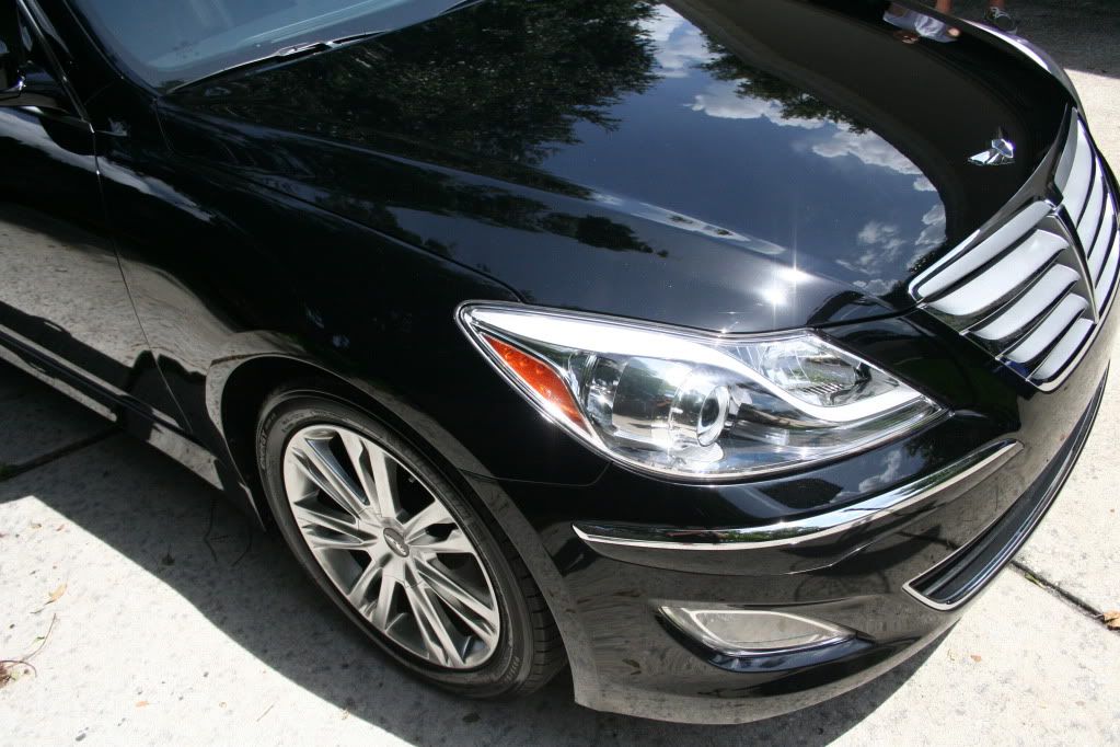 z5.jpg