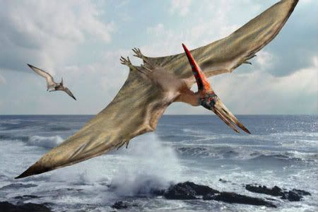 Pterodactyl Pictures, Images and Photos