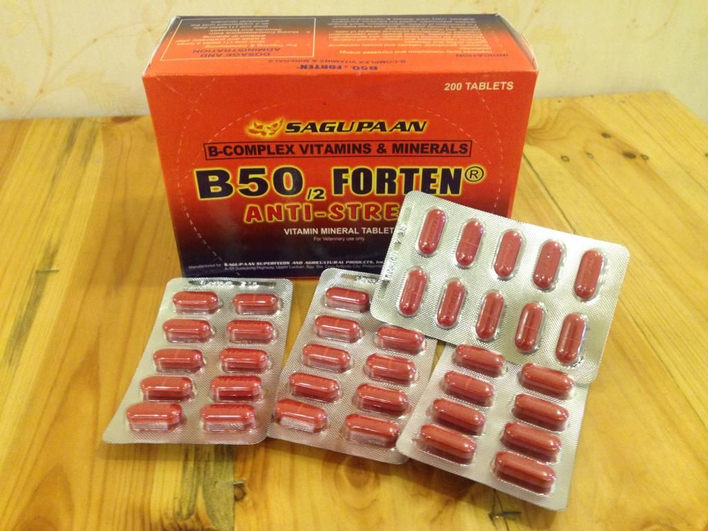 Gà Mỹ nhập - Thuốc nuôi, thuốc bổ, phụ kiện cho gà đá nhập từ Philippin, Mỹ - 19