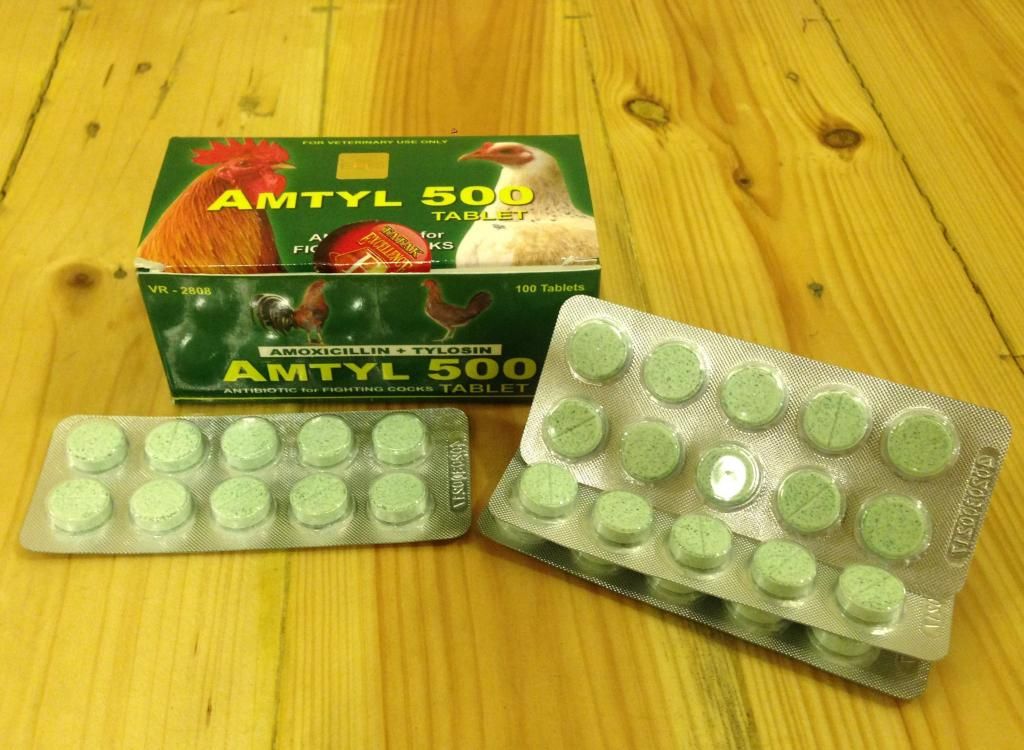 Gà Mỹ nhập - Thuốc nuôi, thuốc bổ, phụ kiện cho gà đá nhập từ Philippin, Mỹ - 22