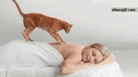  photo cat-massaging-lady-1_zps5df6a658.gif