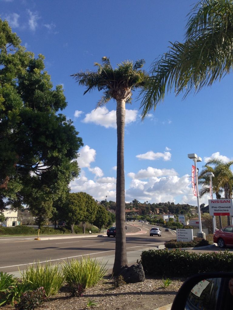 1511DA3D-95AC-44B3-98CD-1332011DDD17-119