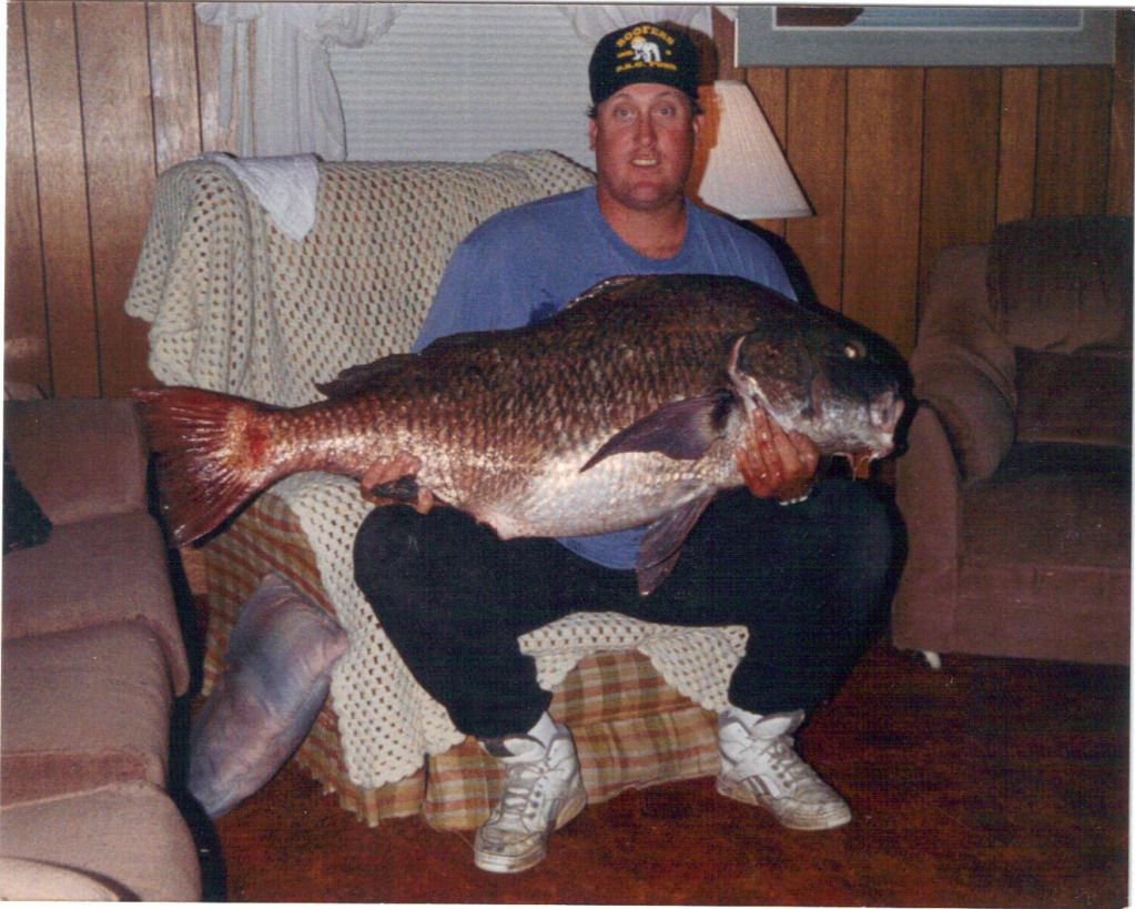 Worms in Drum fish ? BASS BARN