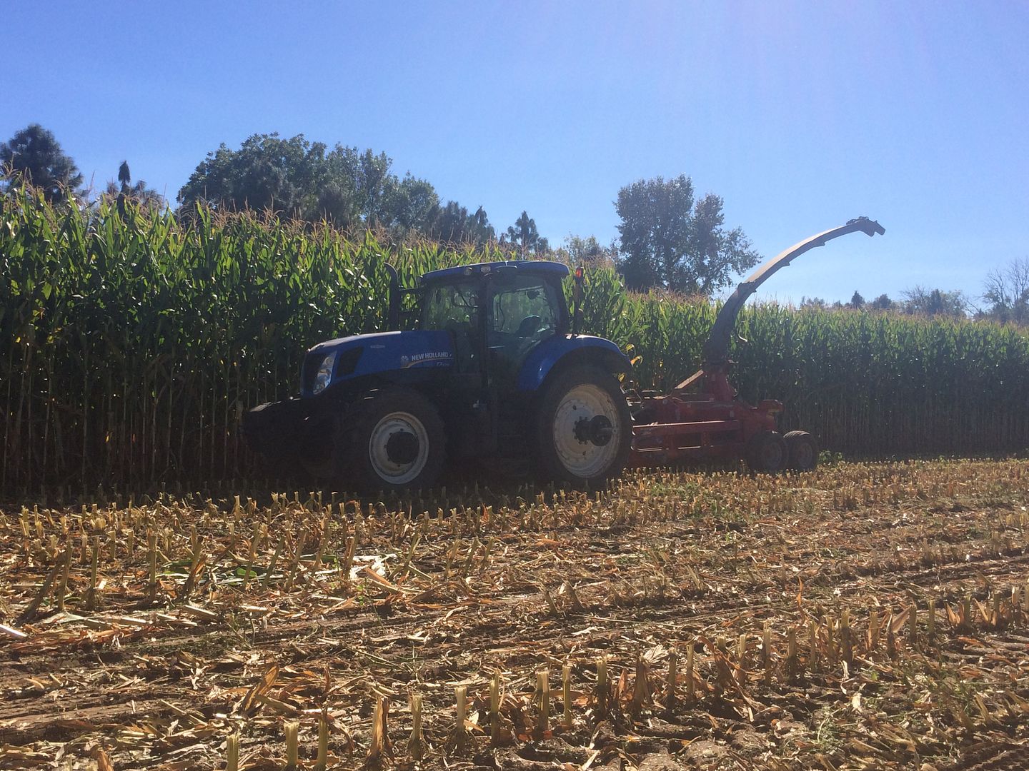 Dion Choppers? Hay & Forage Forum