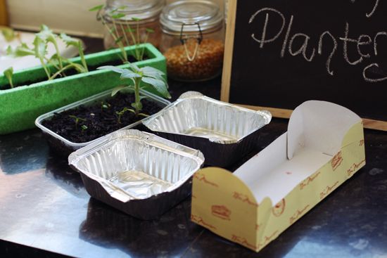 diy plant pots