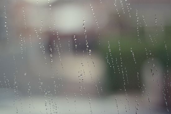 raindrops