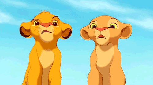  photo g011_two_baby_lions_look_at_each_other_in_shock_zps2d8fd96f.gif