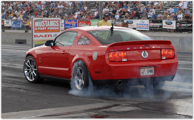 SHELBYBURNOUT.jpg