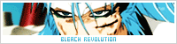 Bleach Revolution