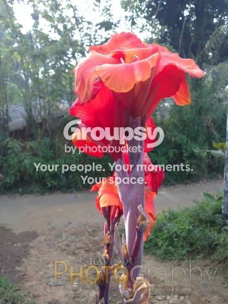 20120222092.jpg