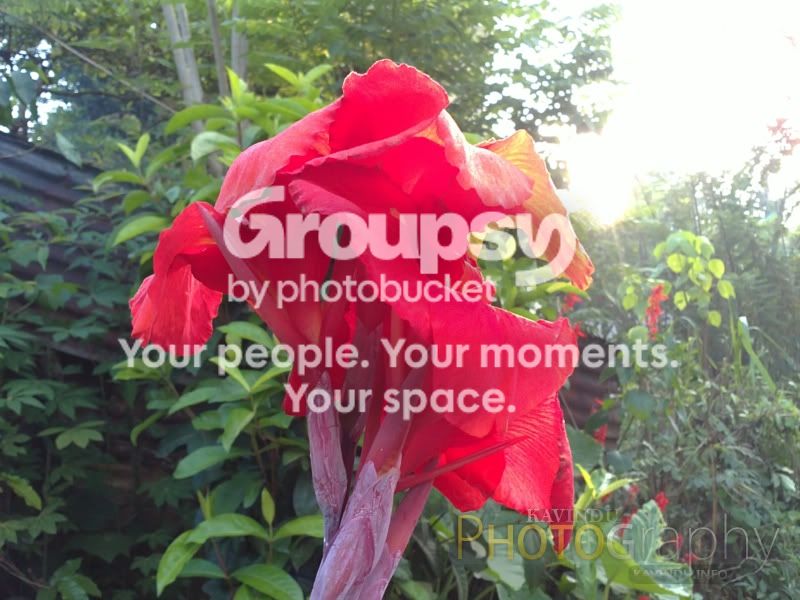 20120224116.jpg