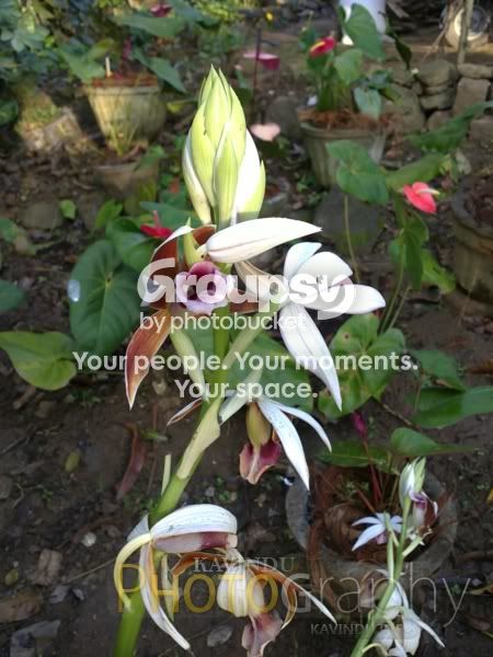 20120224119.jpg