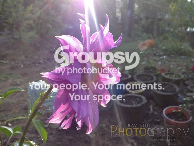 20120224124.jpg