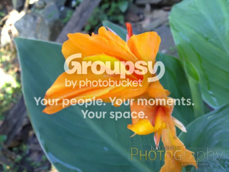 20120224132.jpg