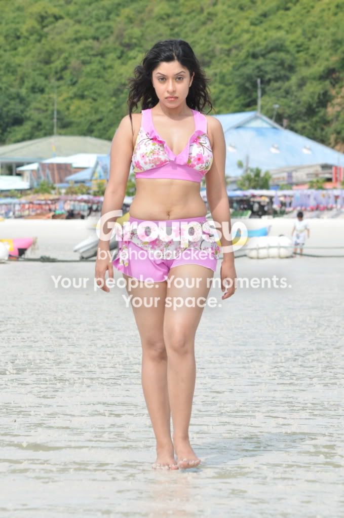 a7.jpg