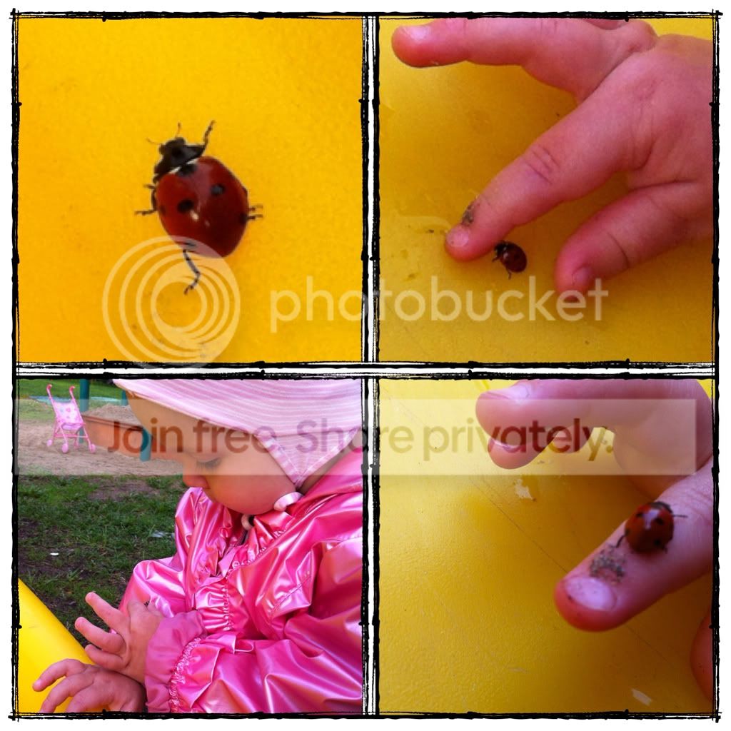Photobucket Pictures, Images and Photos