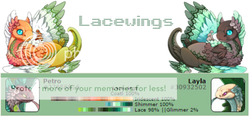 lacewings_zps43vafhsi.png