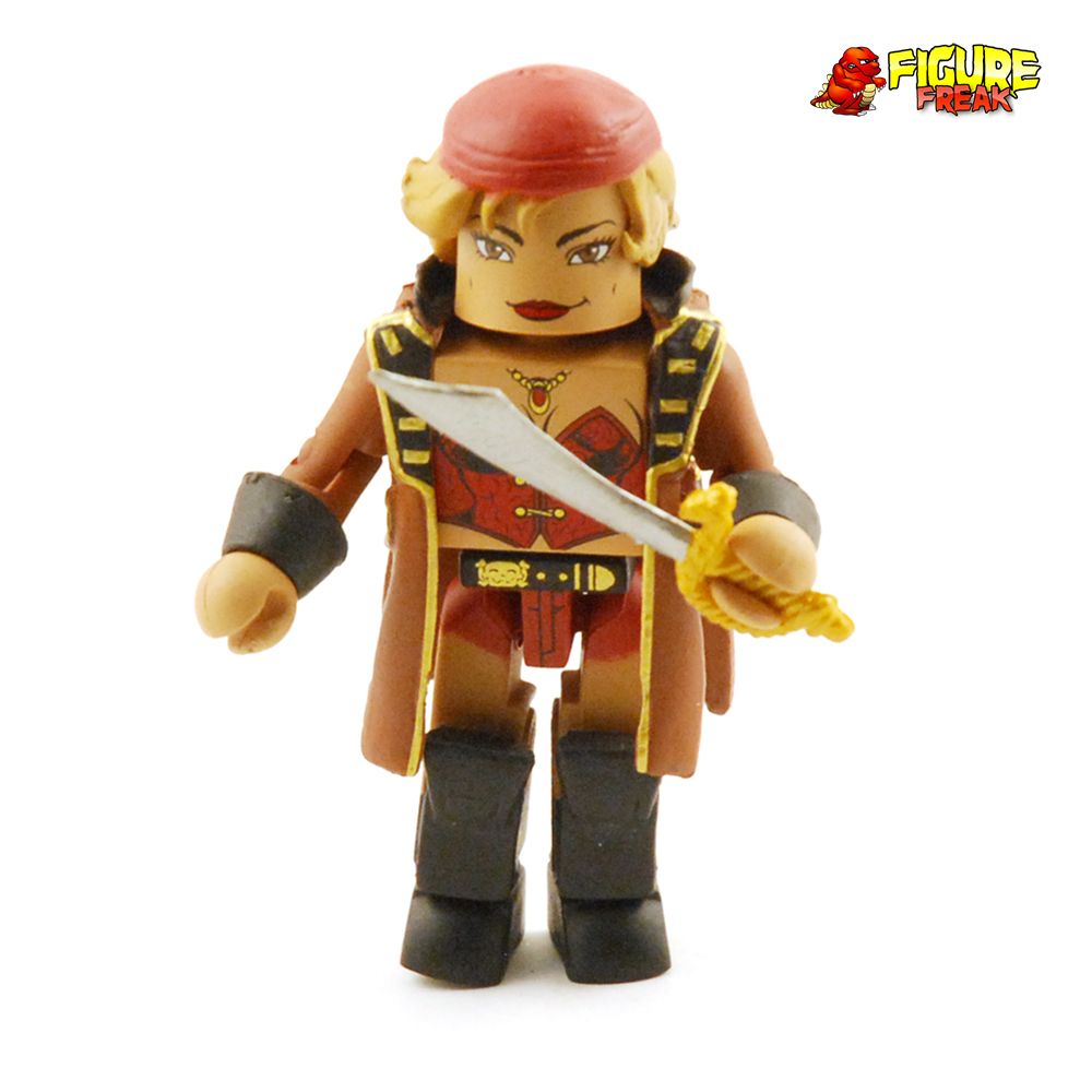 Femme Fatales Minimates Series 2 Calico Jack S Pirate Raiders Anne Bonny Ebay